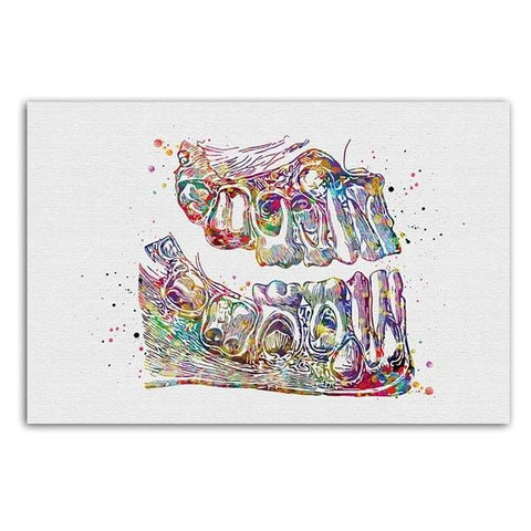 Teeth Eruption Premium Canvas - Dentistry Images - TOOTHLET