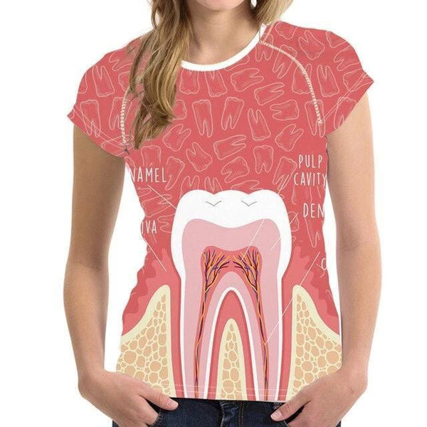 Cool Dental Anatomy Raglan T-Shirt - Dental T-Shirts - TOOTHLET