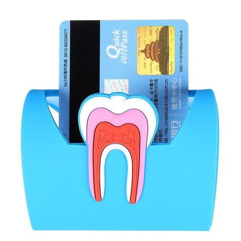 Dental Anatomy Card Holder