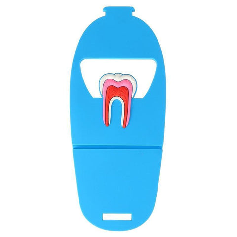 Dental Anatomy Card Holder