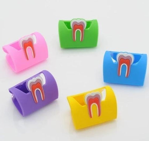 Dental Anatomy Card Holder