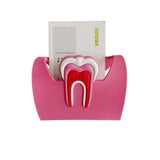 Dental Anatomy Card Holder - Dental Card Holder - TOOTHLET