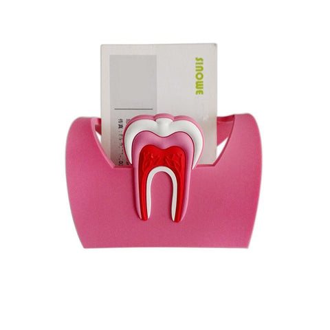 Dental Anatomy Card Holder