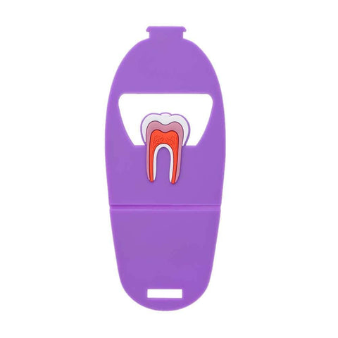 Dental Anatomy Card Holder