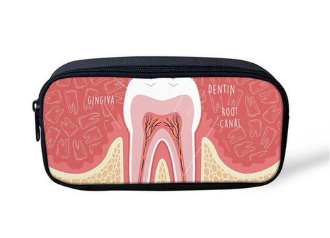 Everyday Cool Dental Anatomy Set
