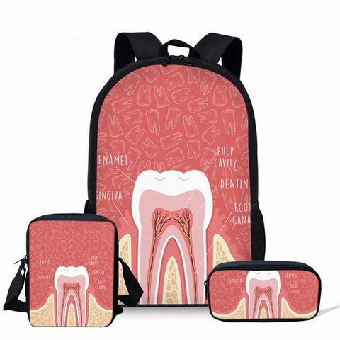 EVERYDAY COOL DENTAL ANATOMY SET Toothlet YQ604Cek 