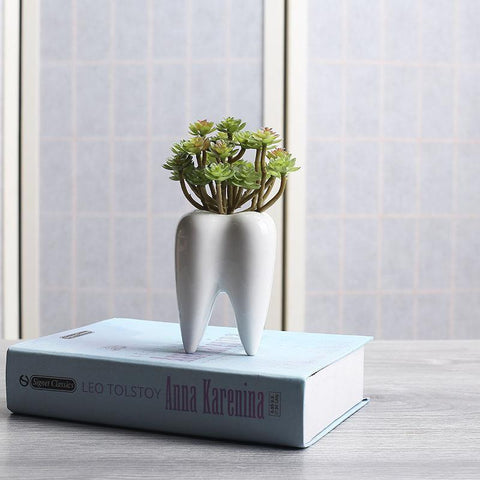 LOVELY MOLAR PLANT POT Toothletshop 