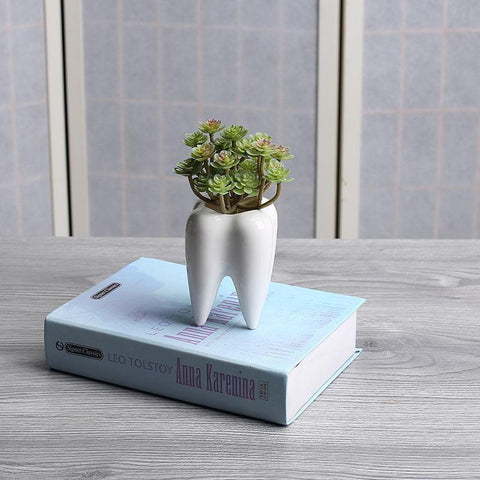 Lovely Molar Plant Pot