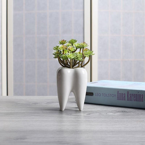 Lovely Molar Plant Pot