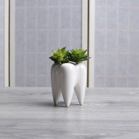 Lovely Molar Plant Pot