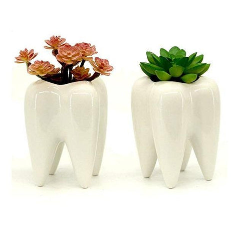 Lovely Molar Plant Pot