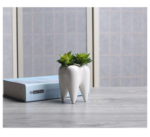 Lovely Molar Plant Pot