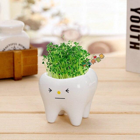 Molar Buddies Plant Pots