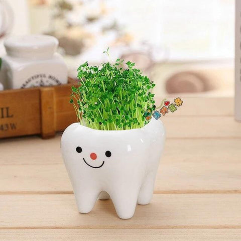 Molar Buddies Plant Pots