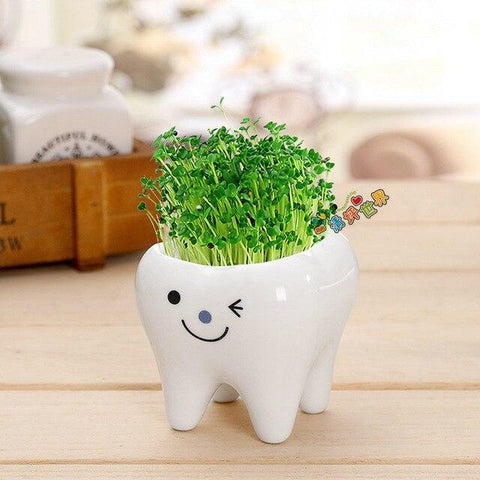 Molar Buddies Plant Pots