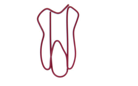 Molar Dental Clip Pack