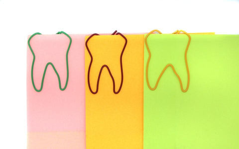 Molar Dental Clip Pack