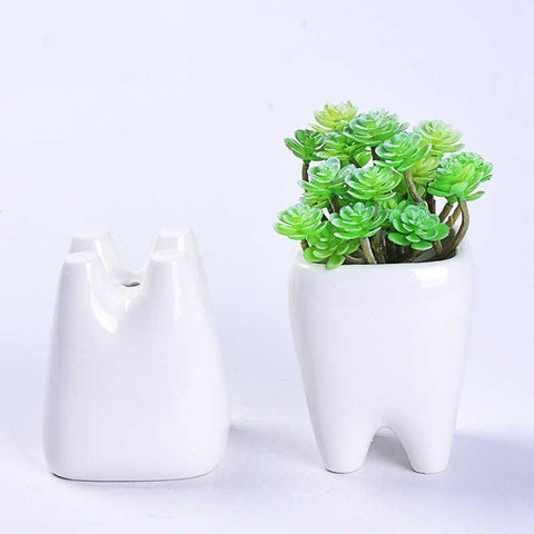 Molar Plant Pot - Tooth Shaped Vase - TOOTHLET
