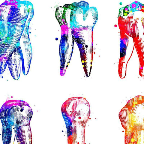 Premium Molar Canvas