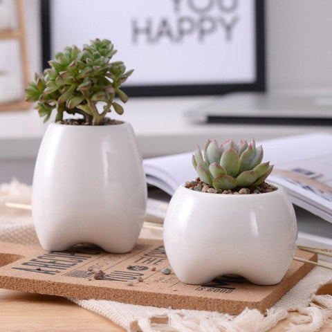 Premolar Plant Pot Set