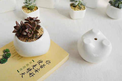 Premolar Plant Pot Set