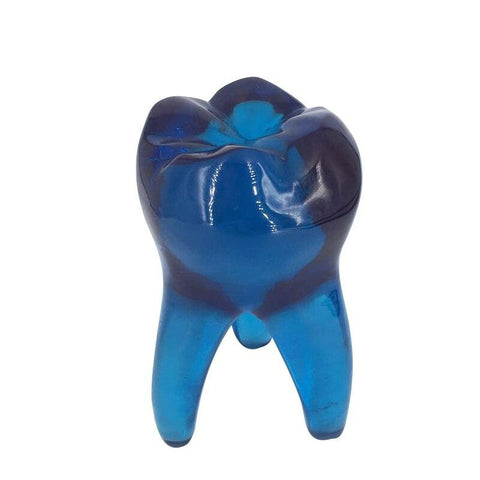 Crystal Molar Sculpture