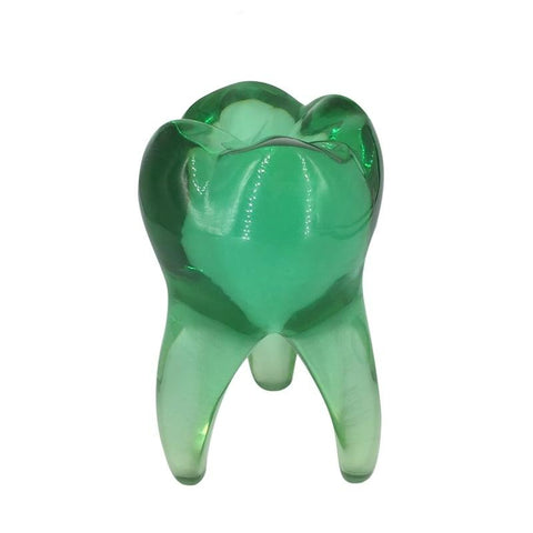 Crystal Molar Sculpture