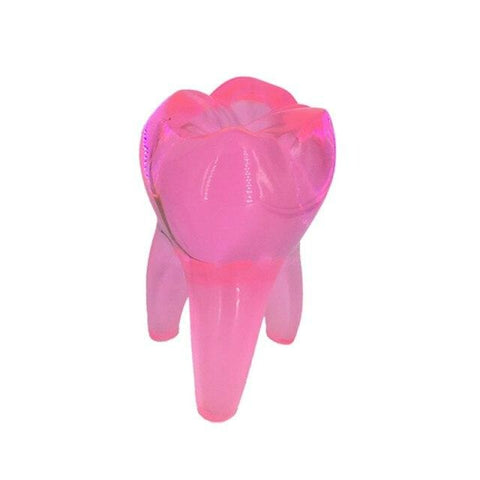 Crystal Molar Sculpture