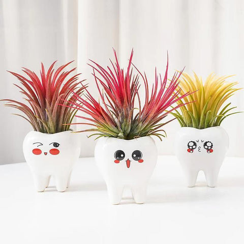 Molar Friends Plant Pots