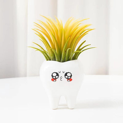 Molar Friends Plant Pots