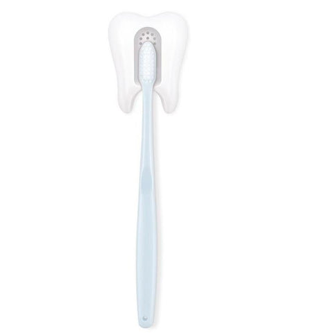 Smart Wall Toothbrush Molar Holder