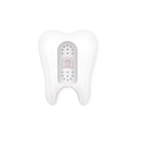 Smart Wall Toothbrush Molar Holder