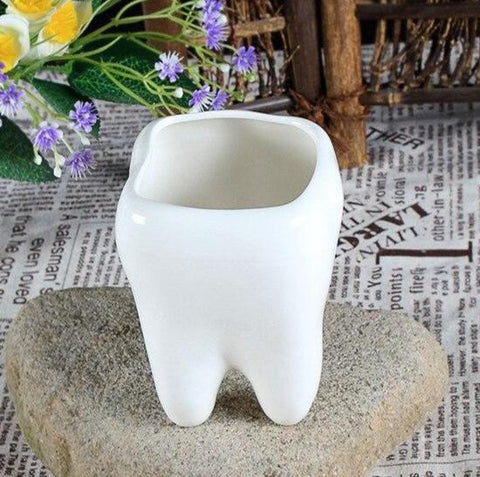 Molar Plant Pot